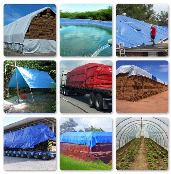 篷布：守護您的世界，從細節開始